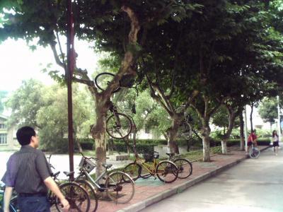20070702_ea69dcd846fd7e837048G7DtabrDaKxz.jpg.thumb.jpg