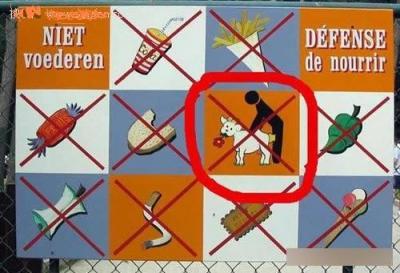 dog-f.jpg