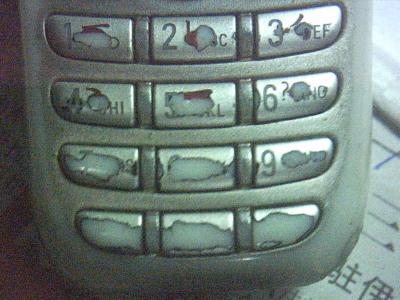 IMG00013.JPG
