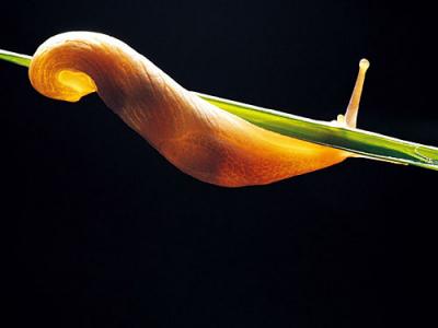 200777111825.jpg
