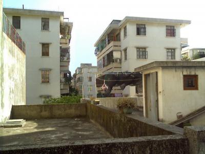 Foto_0013_调整大小.jpg