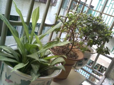 Foto_0010_调整大小.jpg