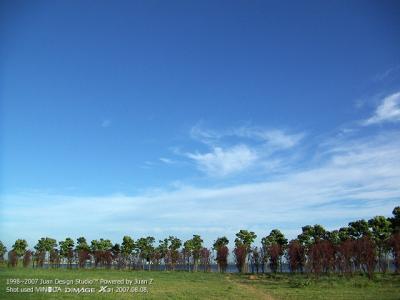 PICT0624.jpg