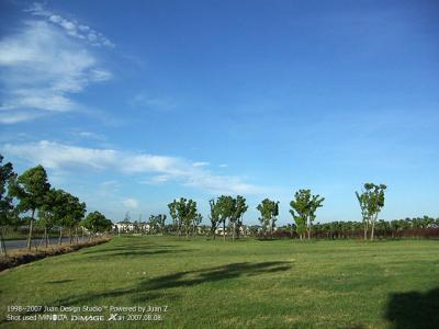 PICT0627.jpg