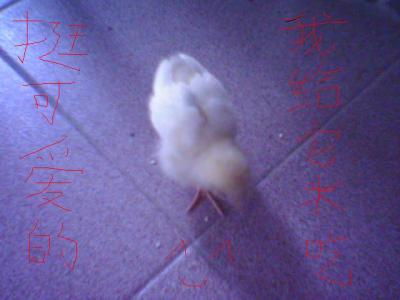 Ȼ鲻̫,һǺаĵ~