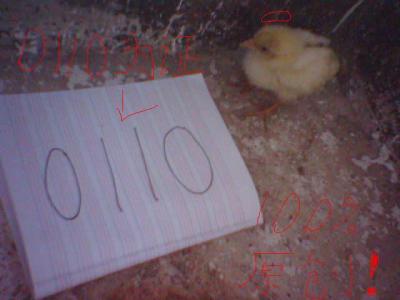 0110ĺӰ,Ǻ^.^