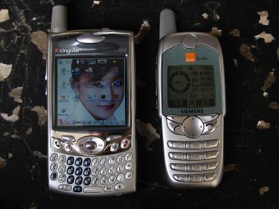 palmͽ.jpg