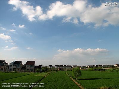 IMG_2432.jpg