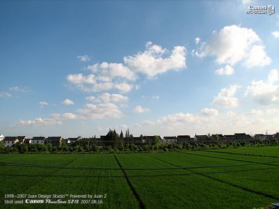 IMG_2429.jpg
