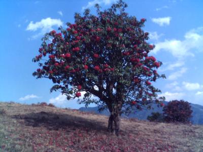 ת 060315_173623.jpg