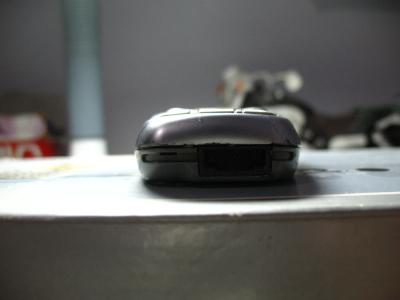IMG_5127.JPG