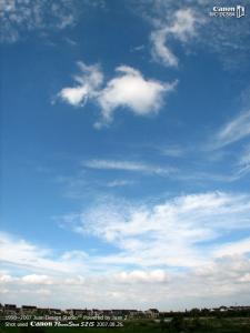 IMG_2453.jpg