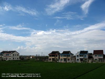 IMG_2255.jpg