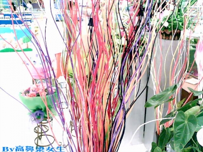060814_114604ӡ.jpg