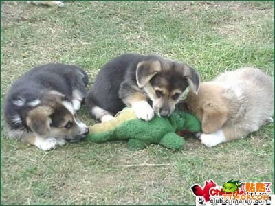 200708251811406251.jpg
