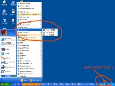 palmsoft_lnsY961ZXWQj_QGI6bcZUOjky.jpg