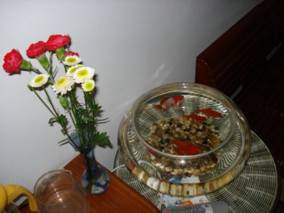200741815325840475[1].jpg