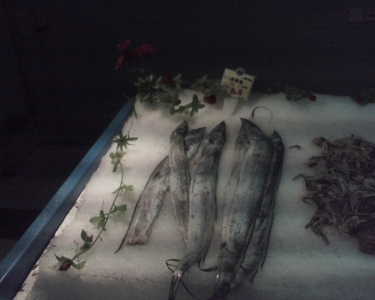 img049.jpg