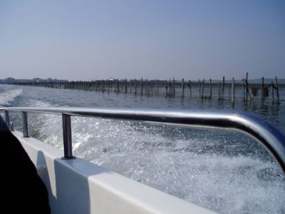 20070604_22748646275f4c4494b8Gh0WWKrtilFO.jpg