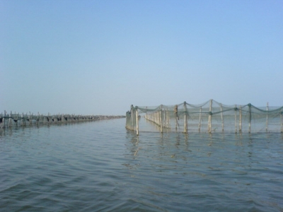 20070604_cd78f1d0da61d8974e24qHRAdoqLGh1R.jpg