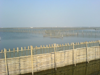 20070604_09aa74ffa8e9a5b30fbfj01qZPuAt5L8.jpg