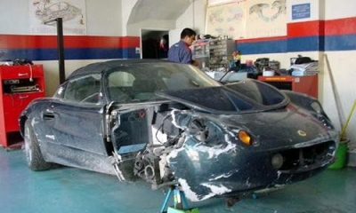 lotus .jpg