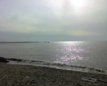 img102.jpg