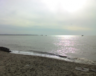 img104.jpg