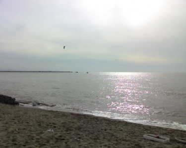 img105.jpg