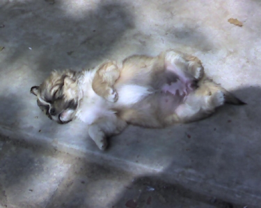 img059.jpg