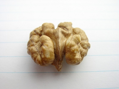 P1010001.JPG
