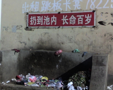 img113.jpg