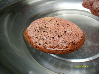 S6300256.JPG