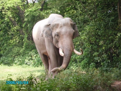 PICT0185.JPG