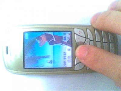 IMG0552A.jpg