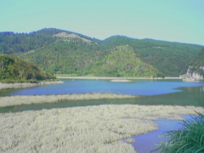 070920_163902.jpg