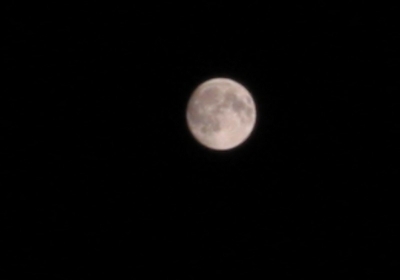 IMG_0165.JPG