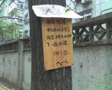 img335.jpg