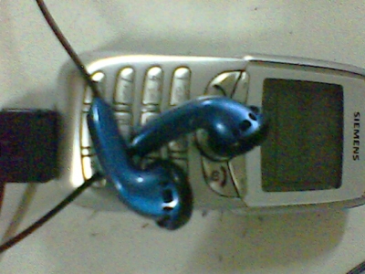 IMG0303A.jpg