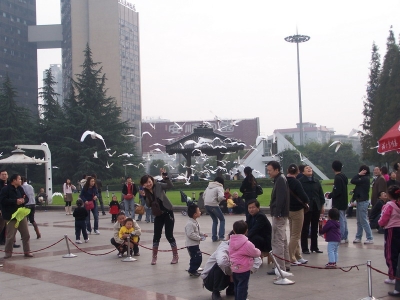100_8827.jpg