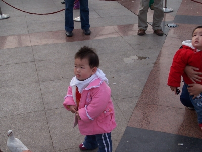 100_8828.jpg