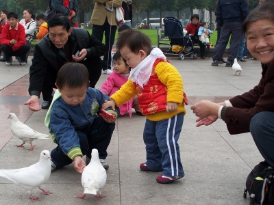 100_8877.jpg