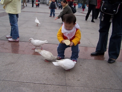 100_8884.jpg