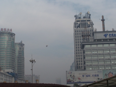 100_8834.jpg