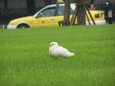 100_8904.jpg
