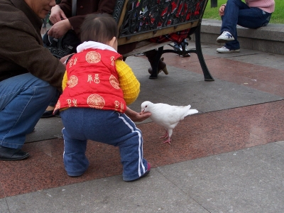 100_8918.jpg