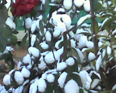 img176.jpg