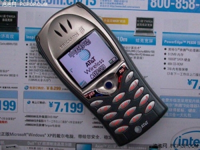 4461625.jpg