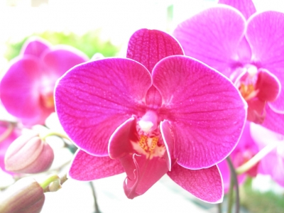 DSCN2301.JPG