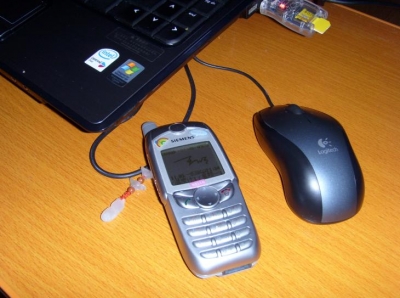 С8.jpg